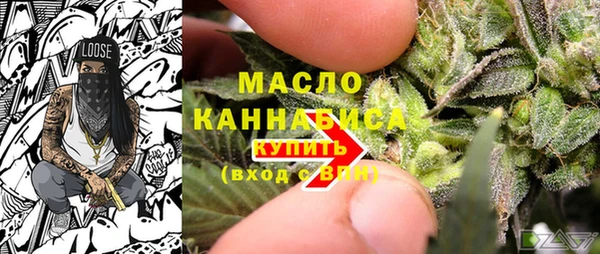 сатива Кинешма