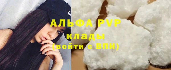 сатива Кинешма