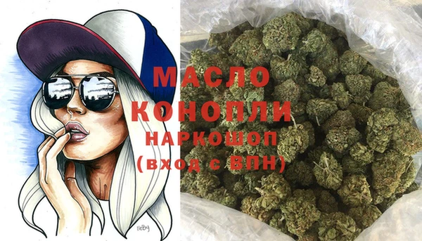 сатива Кинешма