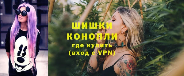 сатива Кинешма