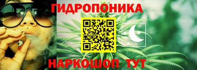 стафф Нальчик