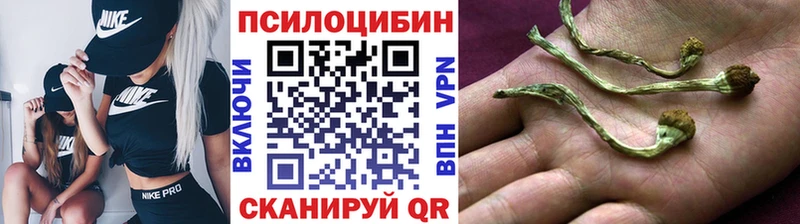 Галлюциногенные грибы MAGIC MUSHROOMS  Санкт-Петербург 